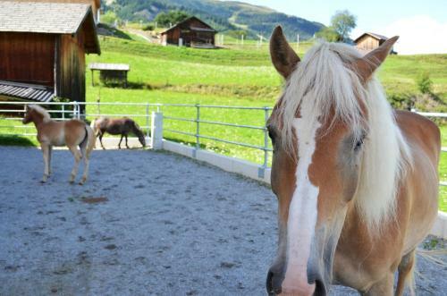 Agroturismo Poltehof