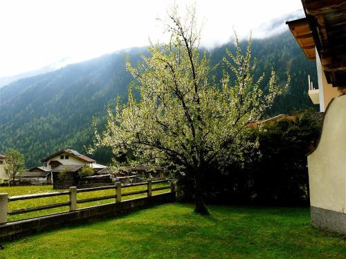 Apartamento Haas Paul Bergf�hrer