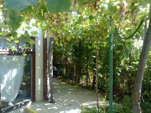 Hostal Villa Elfi