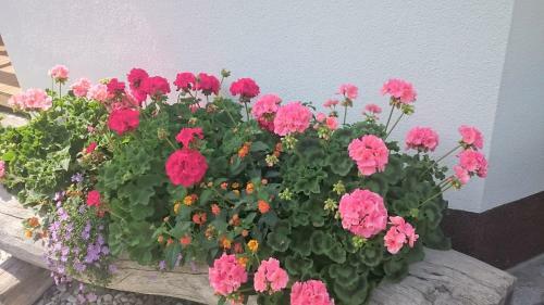 Apartamento Haus Rosmarie