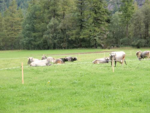 Agroturismo Hauseggerhof