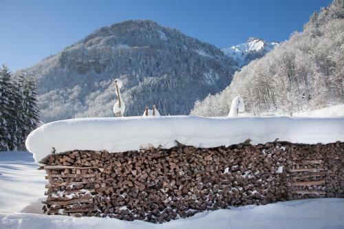 Alps Hoamat