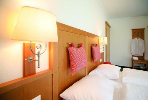 Hostal Apart-pension Wesenauerhof
