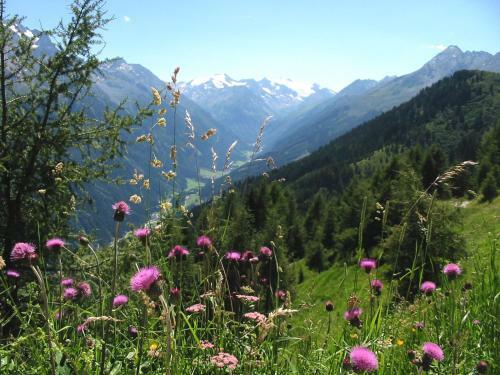 Hostal Alpenpension Pfurtscheller