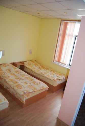 Elysia Homestay