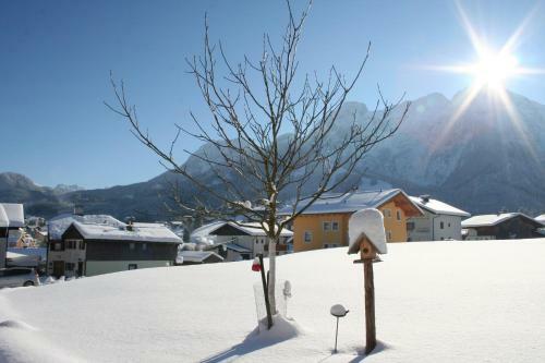 Bed & Breakfast G�stehaus Feldmannhof