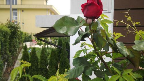 Apartamento Vp Ravda Park