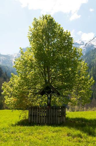 Chalet Hinterweiding-gut