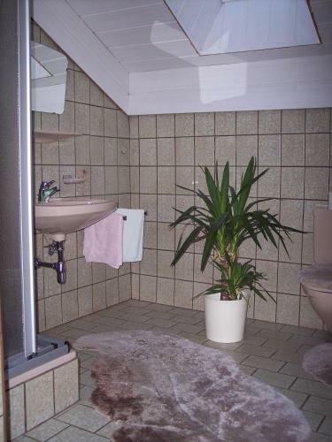 Hostal G�stehaus Bruggerhof