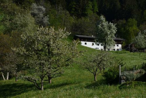 Hostal Pension Tina