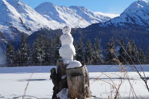 Apart Al-collina