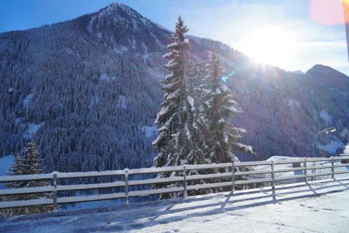 Apart Al-collina