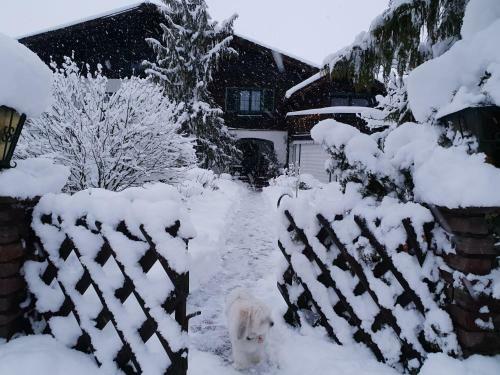 Bed & Breakfast Haus Am Moos