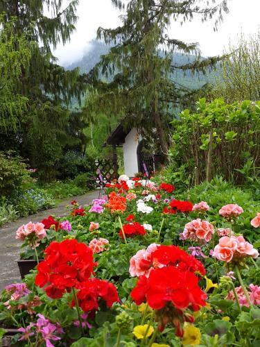 Bed & Breakfast Haus Am Moos