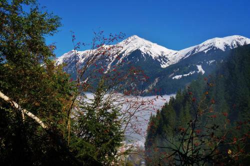 Hostal Landhaus Gletscherm�hle