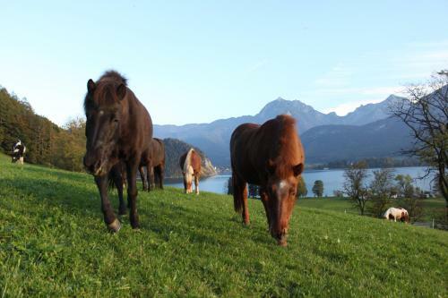 Agroturismo Reiterhof Suassbauer