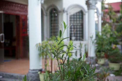 Hotel Kirin Marry Angkor Villa