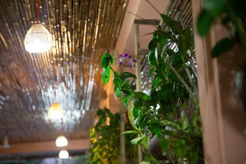 Hotel Kirin Marry Angkor Villa