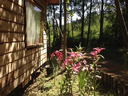Eco-caba�as Quetroleufu