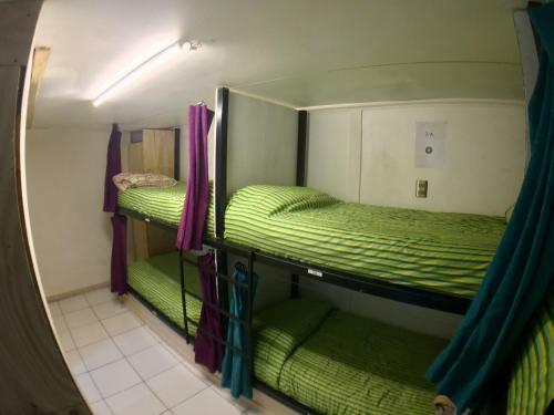 Gecko Hostel