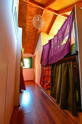 Gecko Hostel