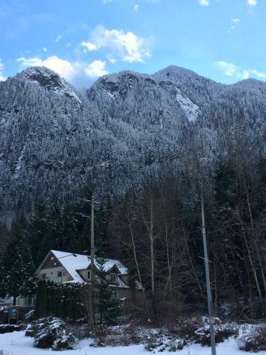Evergreen Bed & Breakfast