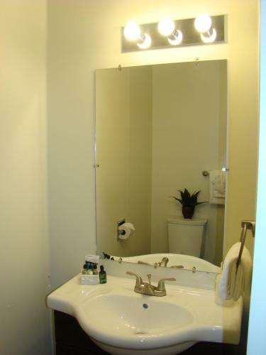 Motel Paddock Inn