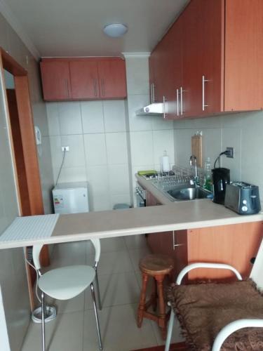 Apartamento Ankar Freire