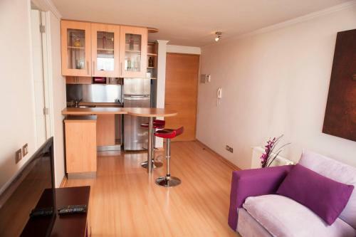 Apartamento Chilean Suites Providencia