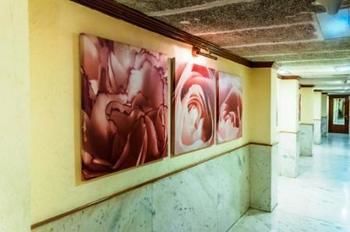 Hotel Alka