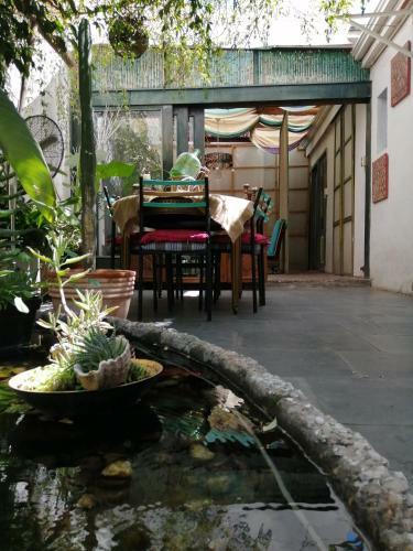 Albergue El Gallo Con Tacos