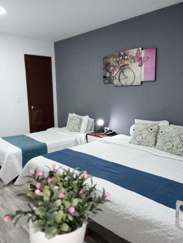 Hotel Maceo 55 - Colonial Inn