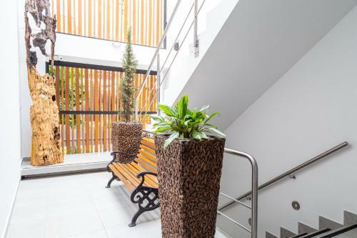 Hotel Laureles Loft