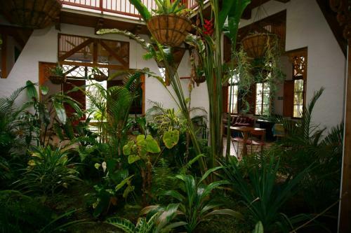 Hotel Terrazas De Salento