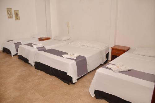 Hotel Plaza Ventura