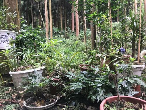 Mount Emei Feng Lin Yue Hotel