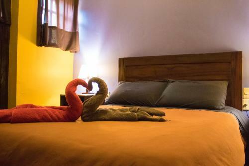 Albergue Wild Rover La Paz