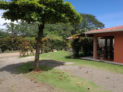 Hostal Corcovado Wild Hostel