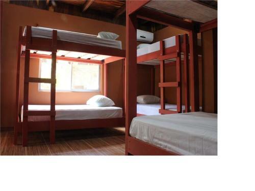 Coral Reef Surf Hostel And Camp