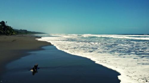 Playa Grande Lodge