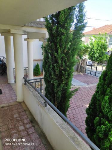 Villa Lisinski