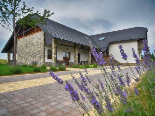 Hostal Villa Stone