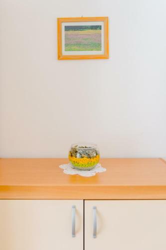 Apartment Rusula