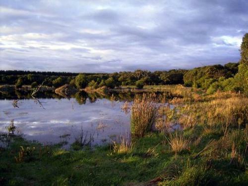 Bushland Retreat