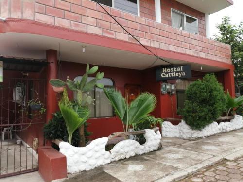 Hostal Cattaleya