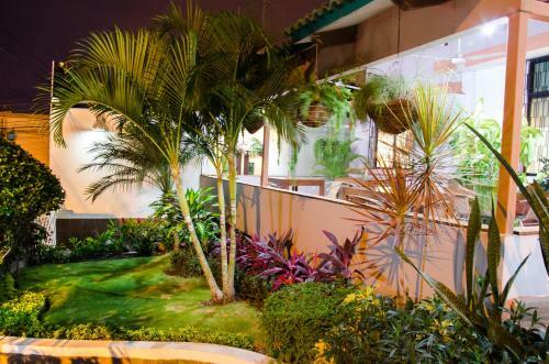 Hostal Hotel Manakin