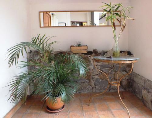 Bed & Breakfast Cuenca Rooms