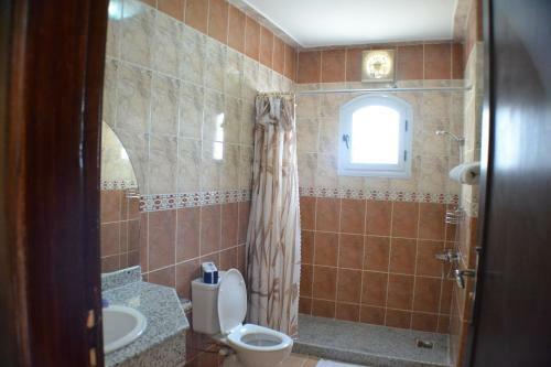 Nile Valley Hotel
