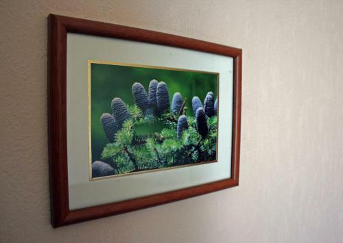 Posada Inn Ecodom