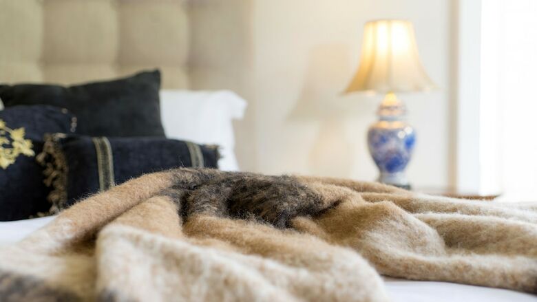 Bed & Breakfast Arcoona Manor